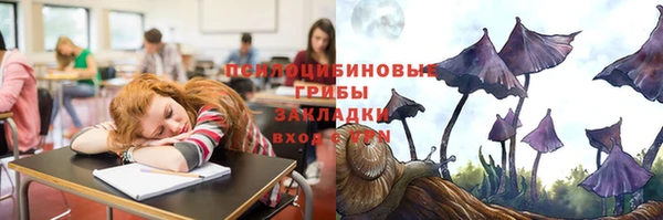 соль ск Вязники