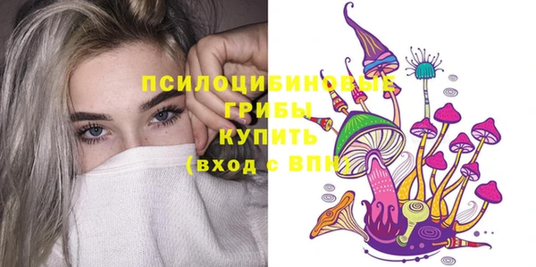 винт Вяземский