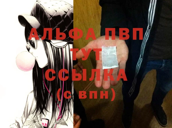винт Вяземский