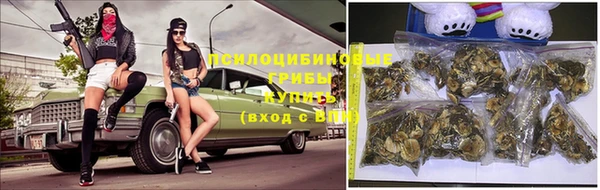 соль ск Вязники