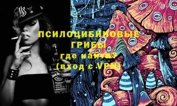 винт Вяземский
